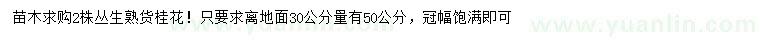 求購離地面30公分量50公分叢生熟貨桂花