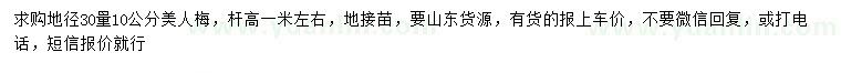 求購地徑30量10公分美人梅