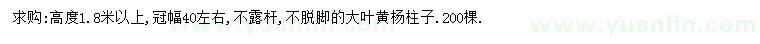 求購高度1.8米以上大葉黃楊柱子