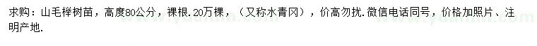 求購高度80公分山毛櫸樹苗