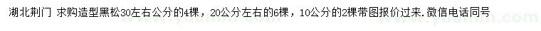 求購10、20、30左右公分造型黑松