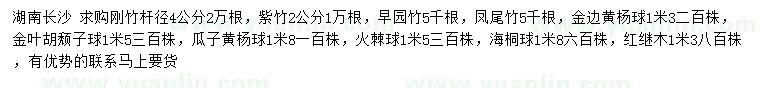 求購剛竹、紫竹、早園竹等