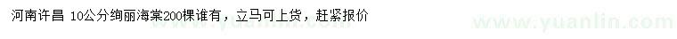 求購10公分絢麗海棠