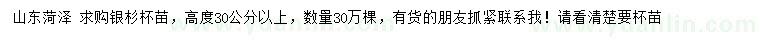 求購高度30公分以上銀杉