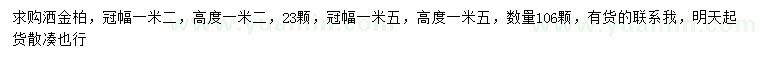 求購冠幅1.2、1.5米灑金柏
