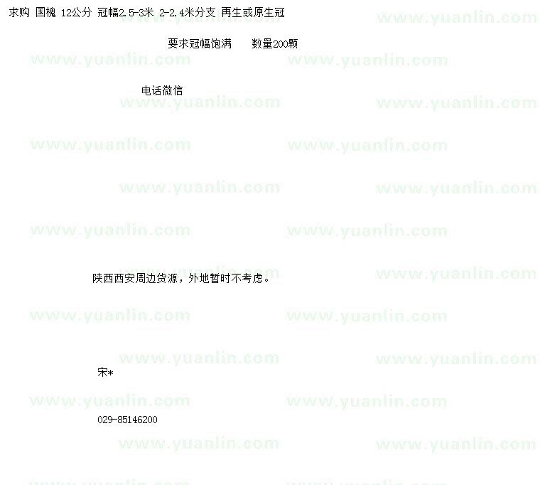 求購12公分國槐
