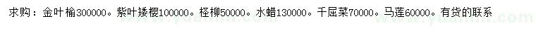 求購金葉榆、紫葉矮櫻、檉柳等