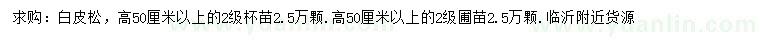 求購高50公分以上白皮松