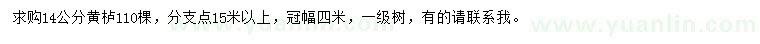 求購14公分黃櫨