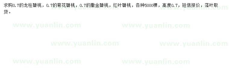 求購(gòu)龍柱碧桃、菊花碧桃、撒金碧桃等