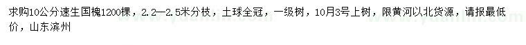 求購10公分速生國槐