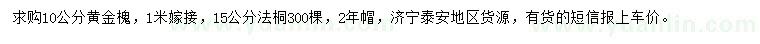 求購10公分嫁接黃金槐、15公分法桐