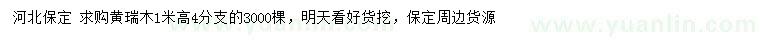 求購(gòu)高1米黃瑞木