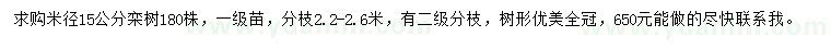 求購米徑15公分欒樹
