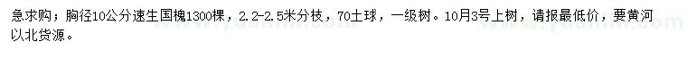 求購(gòu)胸徑10公分速生國(guó)槐