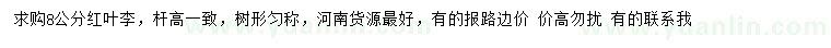 求購(gòu)8公分紅葉李