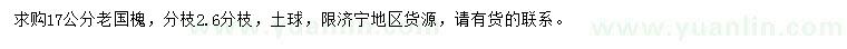 求購17公分老國槐