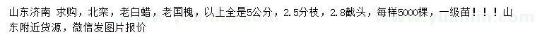 求購(gòu)北欒、老白蠟、老國(guó)槐