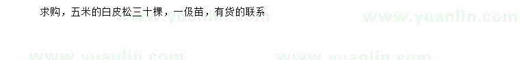 求購(gòu)5米白皮松