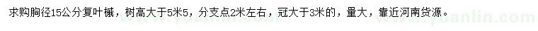 求購胸徑15公分復葉槭