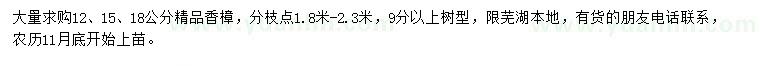 求購(gòu)12、15、18公分精品香樟