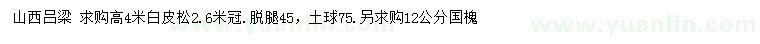 求購(gòu)高4米白皮松、12公分國(guó)槐