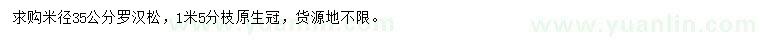求購米徑35公分羅漢松