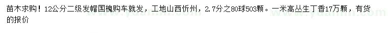 求購12公分國槐