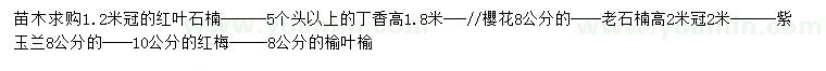 求購紅葉石楠、丁香、櫻花等