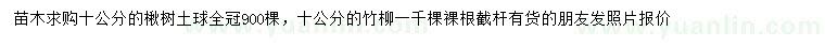 求購10公分楸樹、竹柳