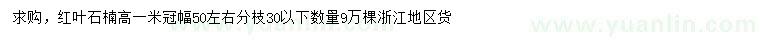 求購高1米紅葉石楠