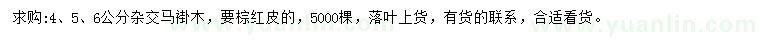 求購4、5、6公分雜交馬褂木