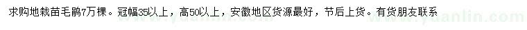 求購高50公分以上毛鵑