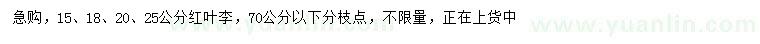 求購(gòu)15、18、20、25公分紅葉李