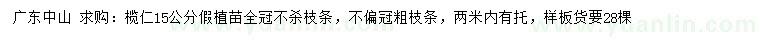 求購15公分欖仁假植苗