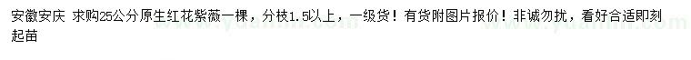 求購25公分原生紅花紫薇