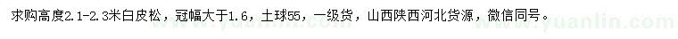 求購高度2.1-2.3米白皮松
