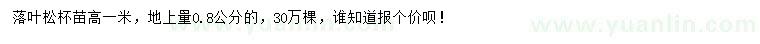 求購地上量0.8公分落葉松