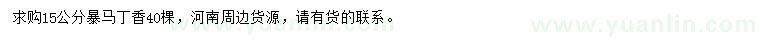 求購15公分暴馬丁香