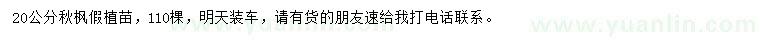 求購20公分秋楓