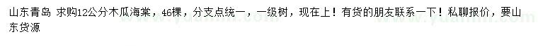 求購(gòu)12公分木瓜海棠