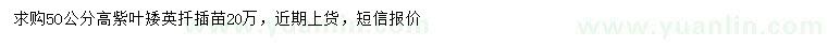 求購高50公分紫葉矮英