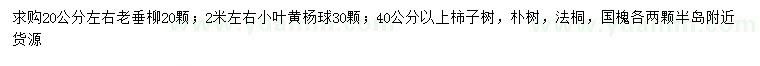 求購(gòu)老垂柳、小葉黃楊球、柿子樹(shù)等