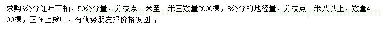 求購(gòu)50公分量6公分、地徑量8公分紅葉石楠、