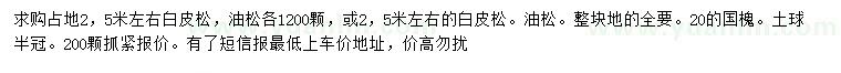 求購白皮松、油松、國槐