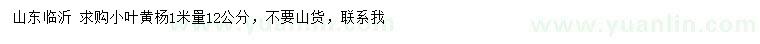 求購1米量12公分小葉黃楊
