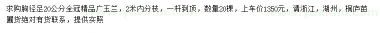求購胸徑20公分廣玉蘭