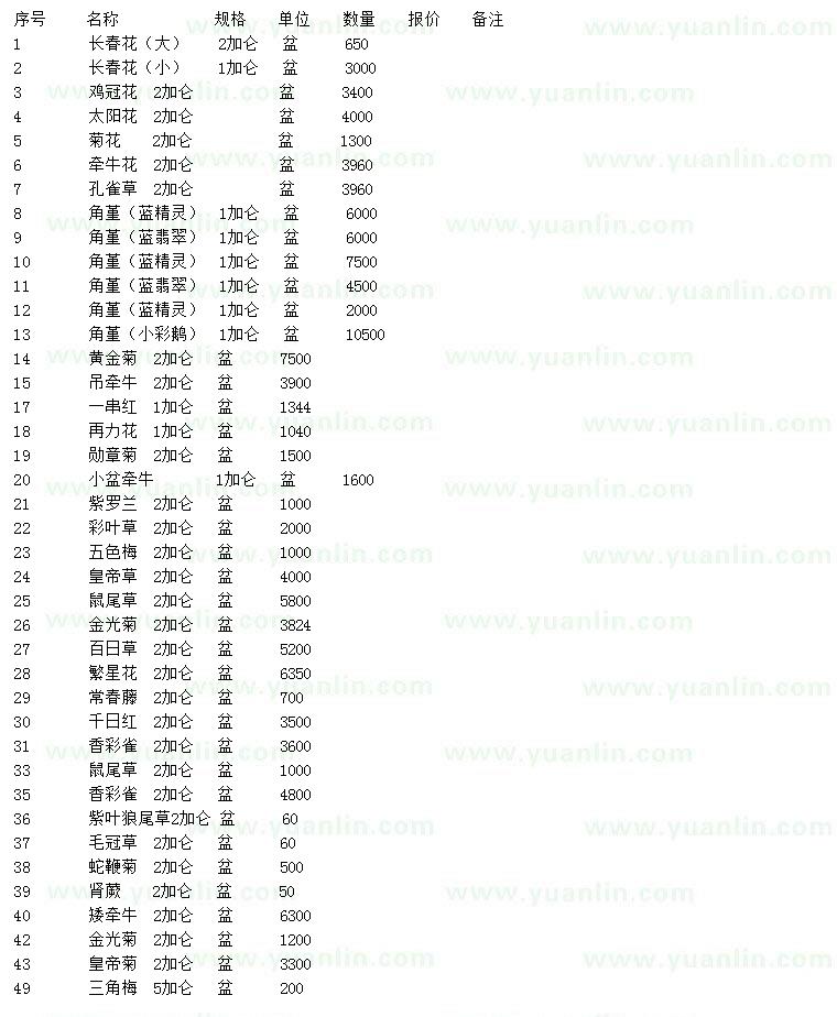 求購長(zhǎng)春花、雞冠花、太陽花等