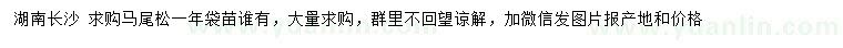 求購(gòu)馬尾松