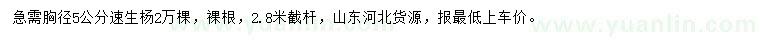 求購胸徑5公分速生楊